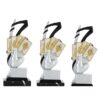 Trofeo Cartas CA-002